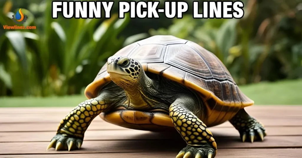 Funny Turtle Pick-Up Lines