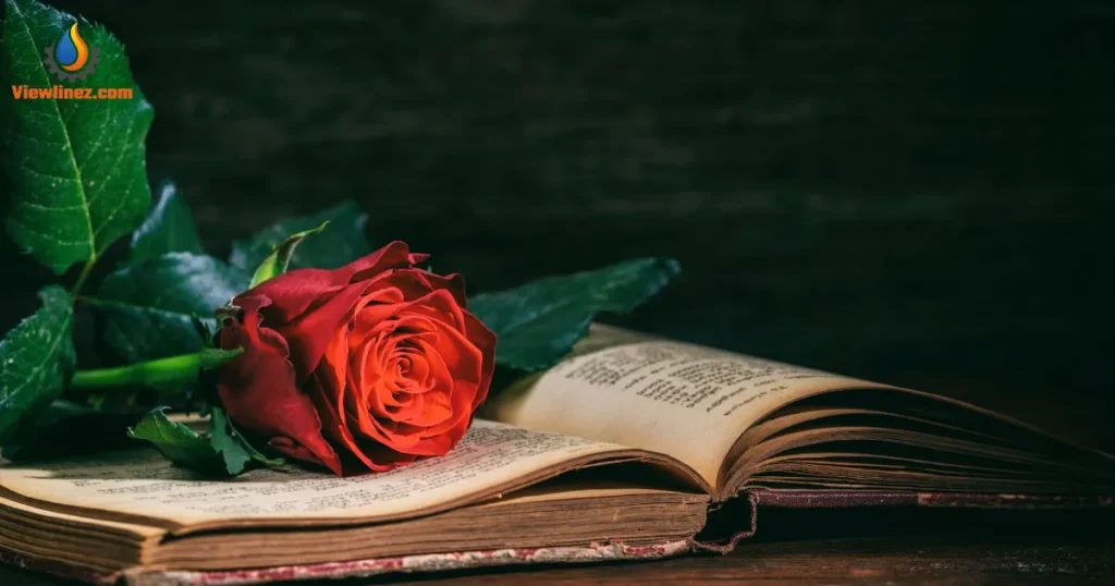Dirty Roses Are Red