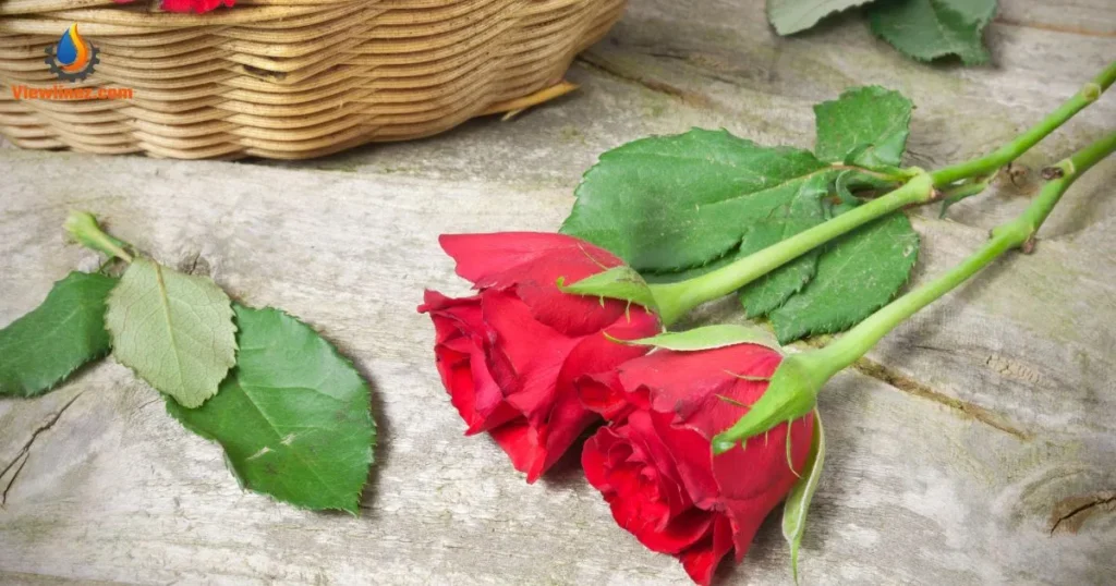Red Pick-Up Lines for Him