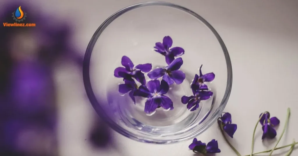 Red Violets Are Blue