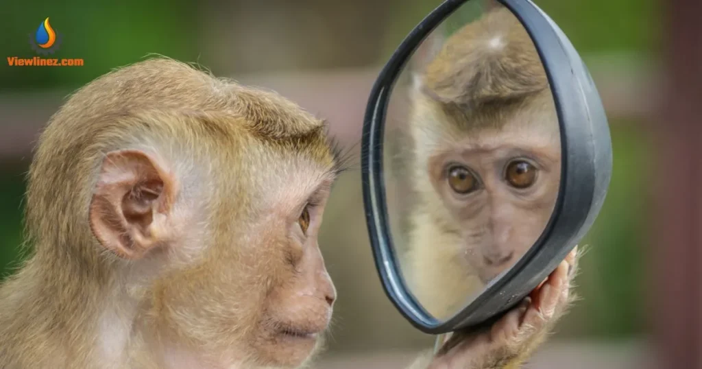 Funny Mirror Pick Up Lines