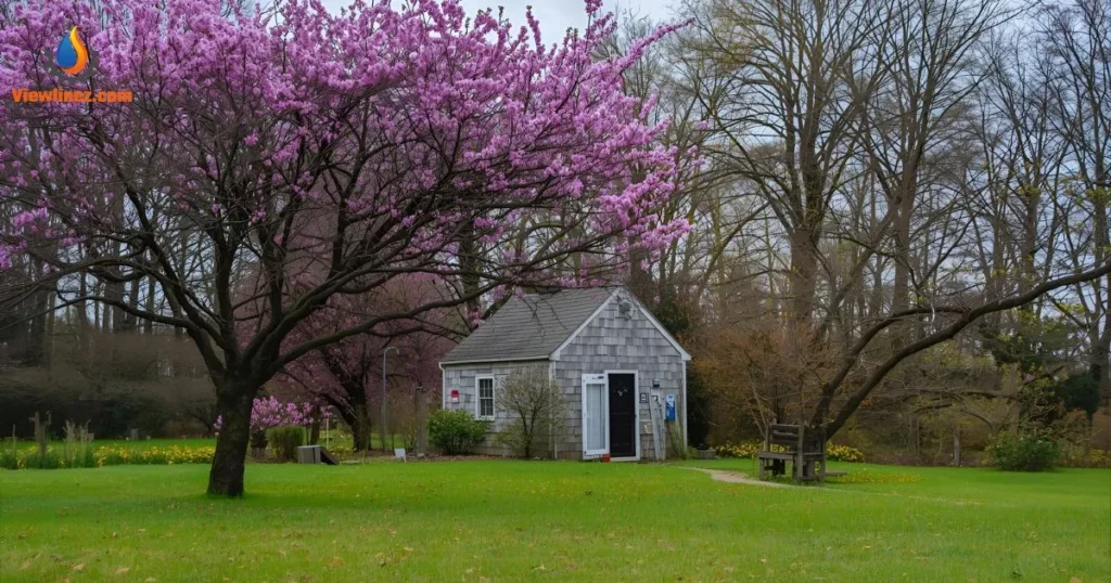 Bold Spring Pick-Up Lines