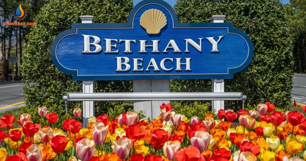 Bethany Pick-Up Lines