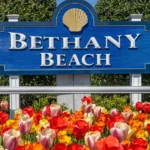 Bethany Pick-Up Lines