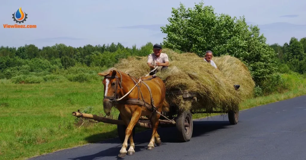 Corny Ride Pick-Up Lines
