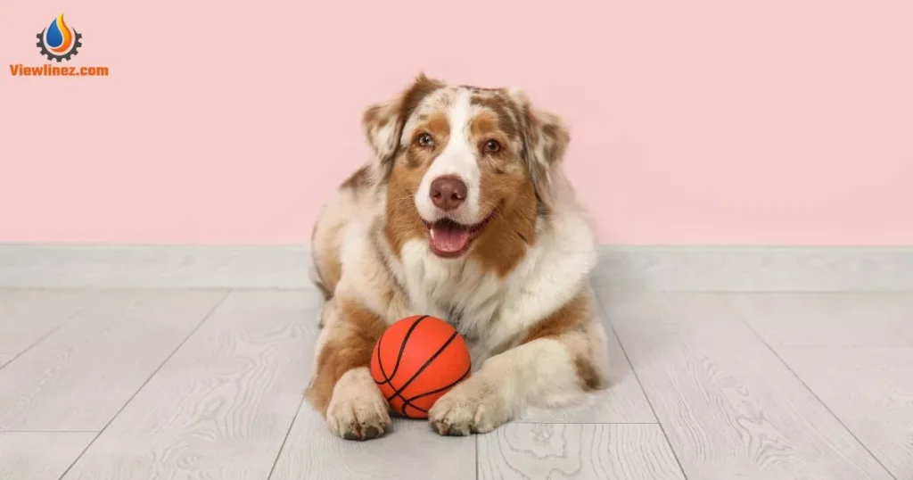 Cute Basketball
