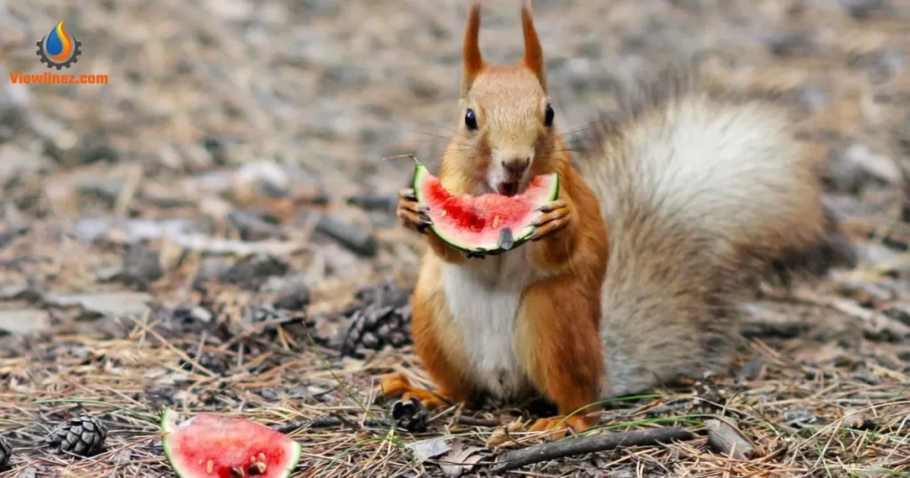 Eating Pick-Up Lines