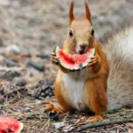 Eating Pick-Up Lines