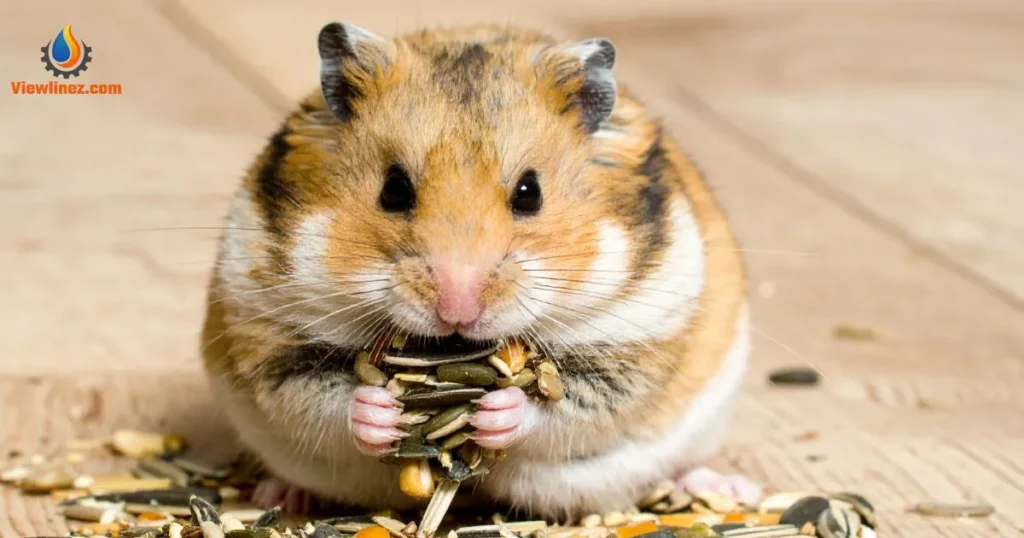 Eating Pick-Up Lines for Him