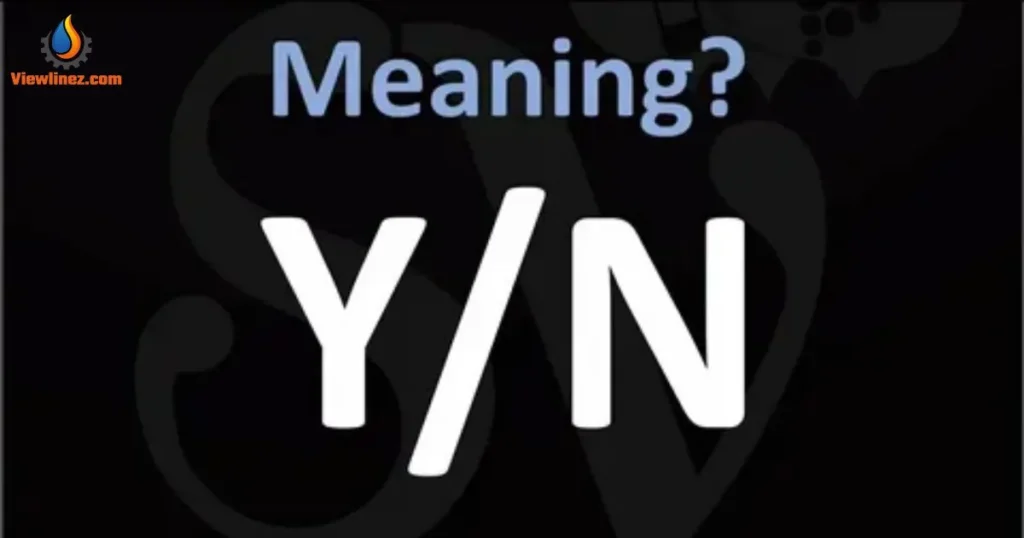 YN Means 